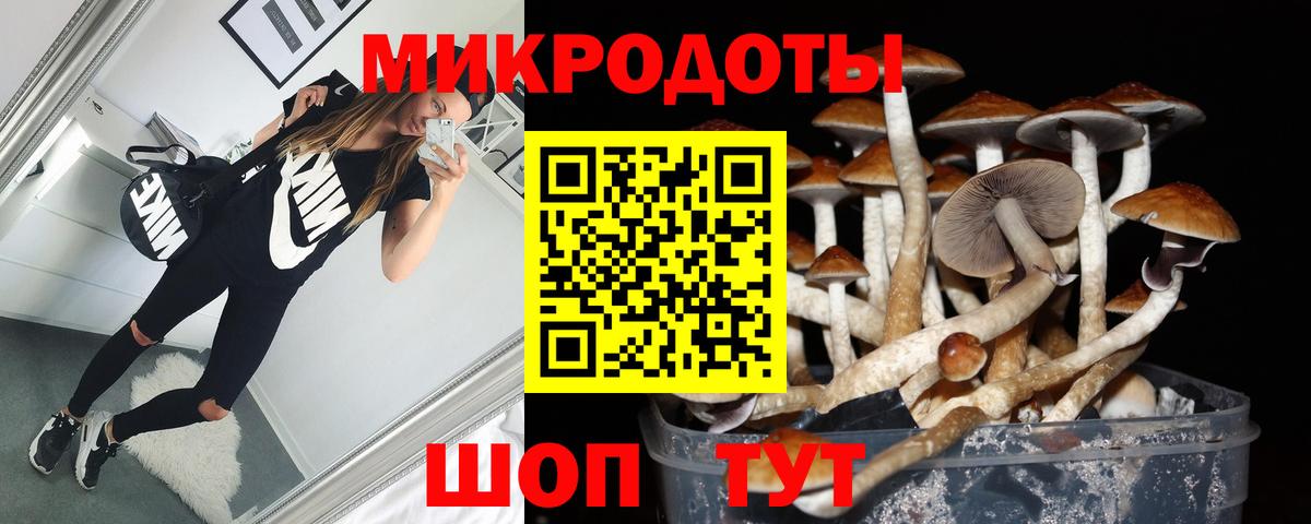 Галлюциногенные грибы Psilocybine cubensis Керчь